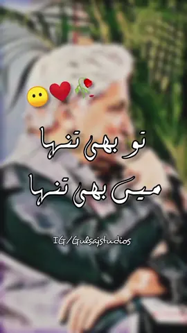 تو بھی تنہا میں بھی تنہا  #abrarkashif #gulsajstudio #viral #ishqmurshid #fyp #status #shayri #hindishairi #hindipoetry #trend #poetry #urdupoetry #alizaryoun #shairi 