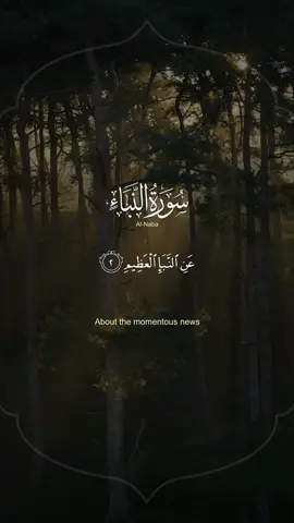 #سورة_النبأ #القران_الكريم #ياسر_الدوسري #surahannaba #quran #viral #fyp 