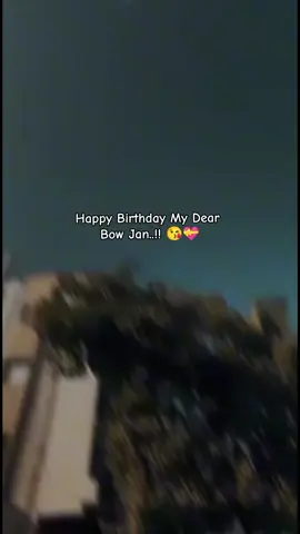 Happy Birthday My Dear Bow Jan 😘❤️ Sorry For late wish 😞 জন্মদিনের শুভেচ্ছা ও ভালোবাসা রইলো। সব সময় হাসিখুশি থাকো আল্লাহর কাছে দোয়া করি এই দিনে নতুন কিছু বলার নাই। আল্লাহ তোমাকে নেক হায়াত দান করুক #fypシ #tiktok_bangladesh🇧🇩 #foryou #vairal #@Tik Tok BangIadesh 🇧🇩 @TikTok 