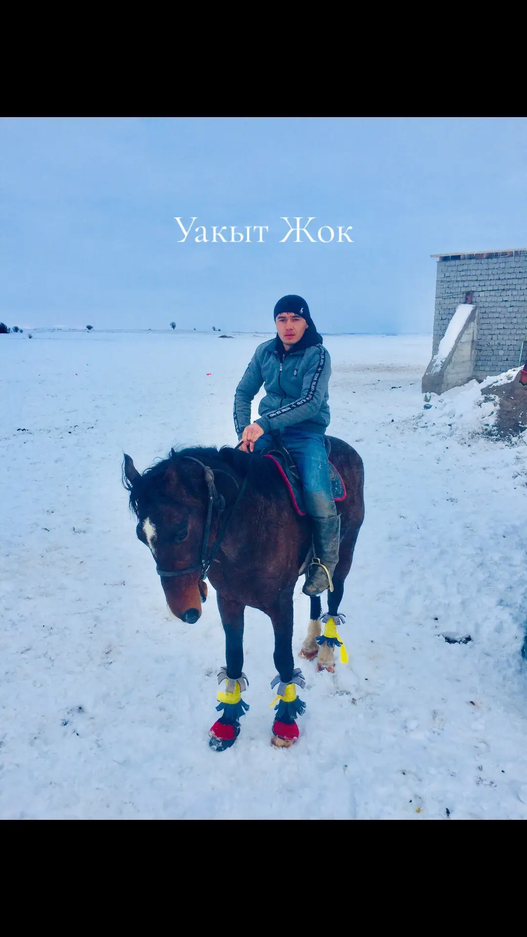 🐊🇰🇿🐎