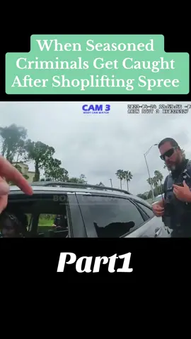#tiktok #vii #trending #viralvideo #cops #copstiktok 