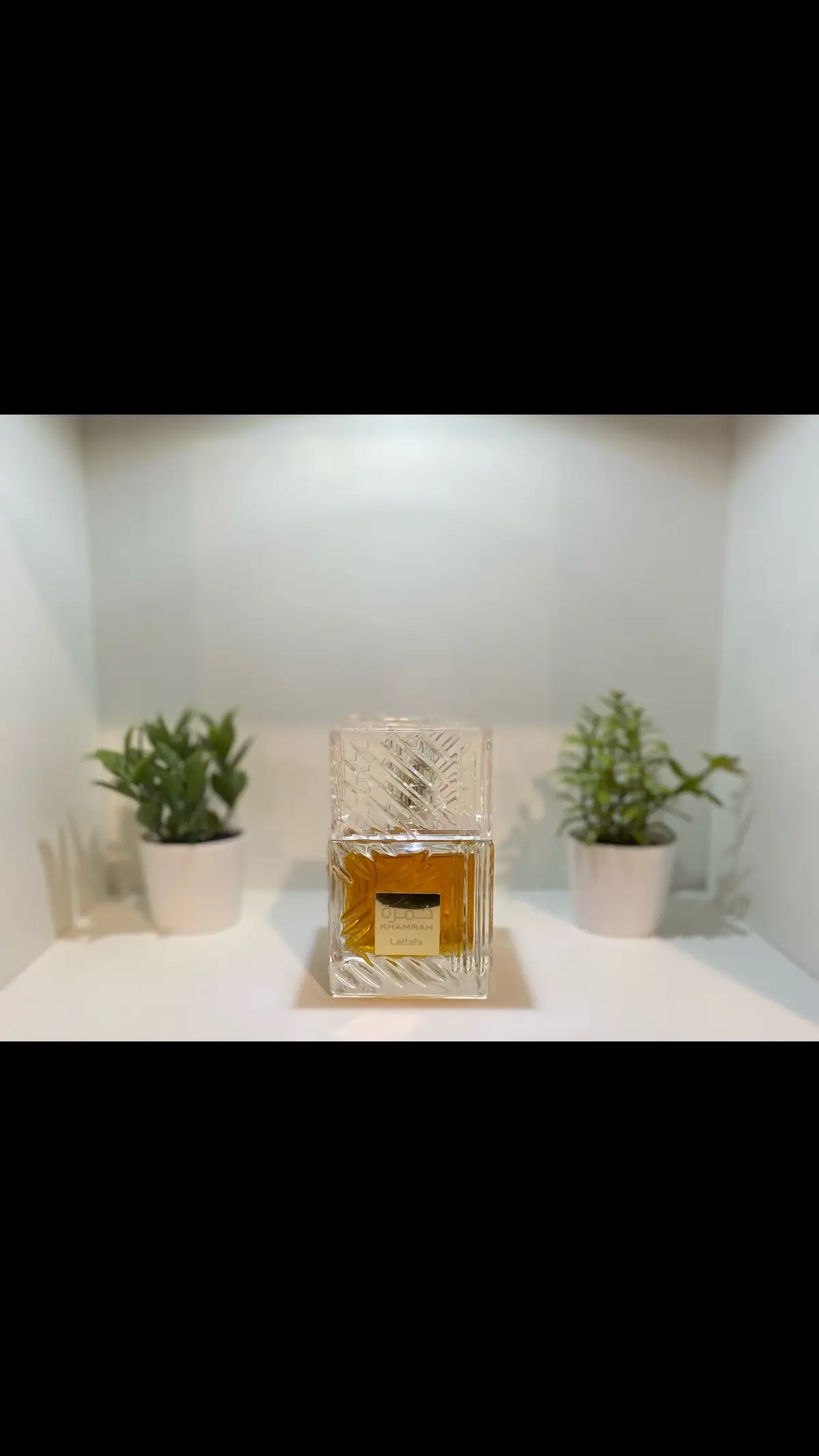 As the final days of winter dwindle away, I find myself reaching for this sexy hype beast for my scent of the day. Khamrah by Lattafa is a sexy, spicy concoction of suduction and sweetness. Theres no better way to describe it but IRRESISTIBLE.  Tiktok Fragrance Hashtags #fragrance #fragrancesformen #fragrancetiktok #fragrancetok  #menscologne #nichefragrance #fragrancearmy #fall #sotd #scentoftheday #foryourpage #fyp #viralvideo #viraltiktok #lifestyletok #blackmantok #scentstok #fragrancecollection #beauty #tiktokfamous #perfume #Lifestyle #fragrances #perfumetiktok #fragrancecommunity #bestmensfragrances #lifestyle #lifestyletok #perfume #nichefragrances #tiktokfamous #viral #scent #scenttok #blackman #blackmen #orlando #fragranceblogger #fragrancecollector #viralvideo #content #contentcreator 