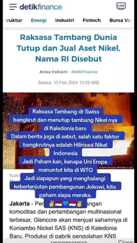 ini yg di takuti barat jika indonesia teruskan hilirisasi. #indonesia #hilirisasi #eropa 