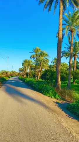 #ساجده_عبید_💞 #جوز_منهم_ولاتعاتبهم_بعدجوز #تصويري #بغداد #قناتي_تليجرام_بالبايو💕🦋 