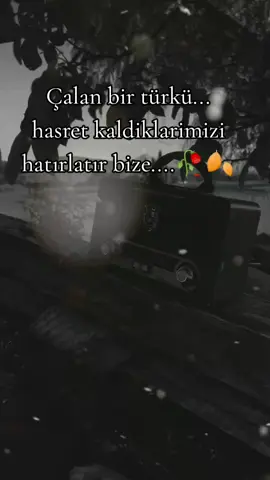 YoLuMuZ GuRBeTe DüŞTü...🎶🎶🎶#gurbetkuşu #y #m #GöÇeBe#intizar #türkülerimiz  #enduygusalvideolar #fypシ゚viral #keşfetbeniöneçıkar 