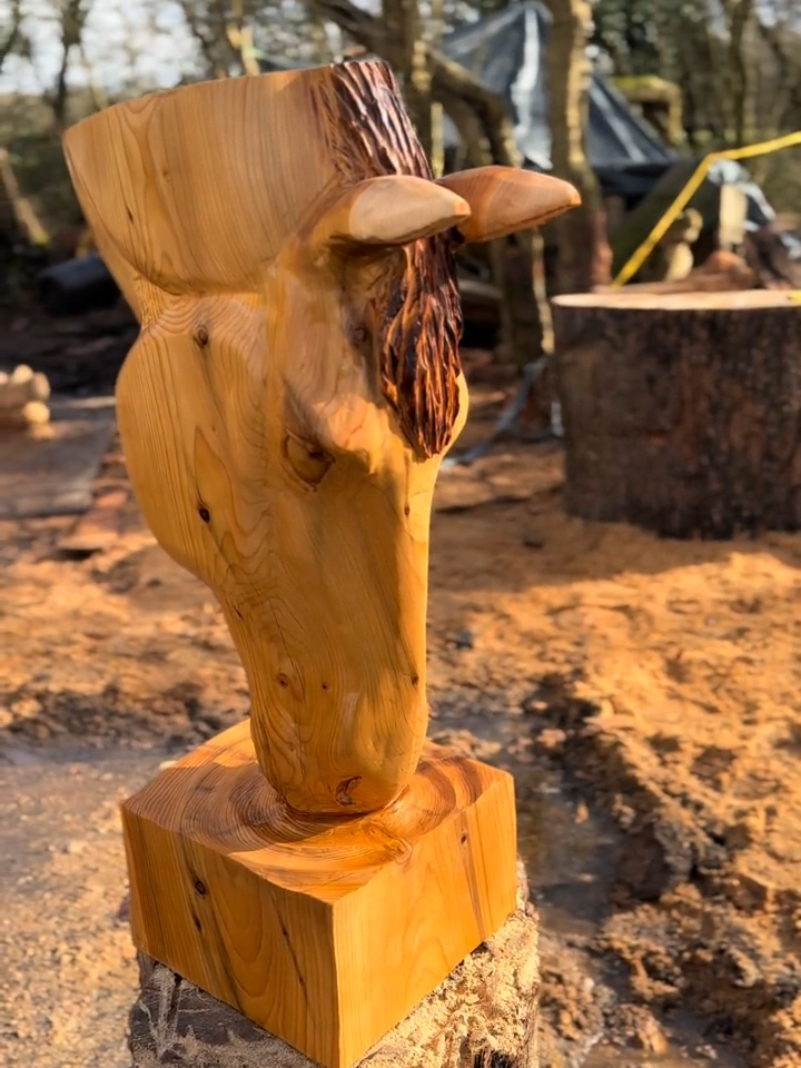 The Full Process of Carving a Horse Bust ❤️🐴  #michaeljonescs #horse #woodcarving #chainsaw #sculpture #horses