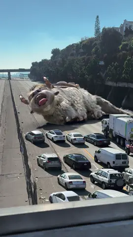 Hey Aang, found your sky bison. He’s in San Francisco stopping traffic. #AvatarTheLastAirbender #ATLA