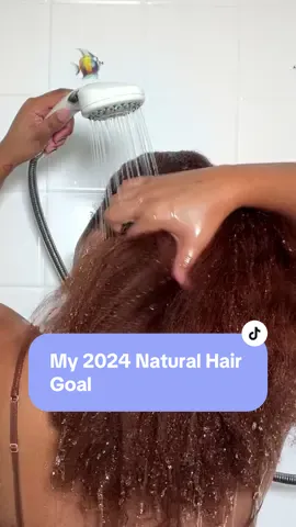What are your hair goals for 2024? I’ve been enjoying every part of my natural hair journey from my blonde hair to my black hair. But after cutting my hair, my ultimate goal is getting back to waist length!  #naturalhair #type4hair #type4haircare #type4naturalhair 