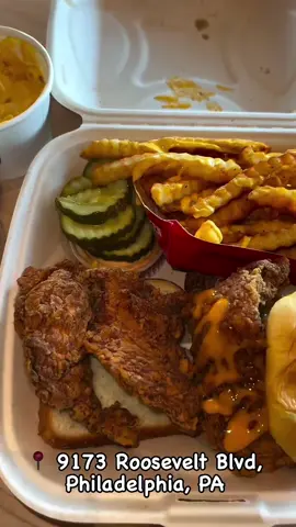 #philadelphia #pa this is your sign to order #daveshotchicken 🙌🏻 #spicychickensandwich #daveshotchickenreview #davesfries #phillyfoodies #daveshotchickenphilly #davesnotchicken 