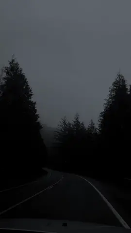 somber roads #fyp #foryou #foryoupage #pnw #darknaturalism #pacificnorthwest #darknature #moody #oregon #moodynature #nostalgia #nostalgic #nostalgiacore #aesthetic #northwest #northwestaesthetics #forest #foggyforest #forestcore #foggy 