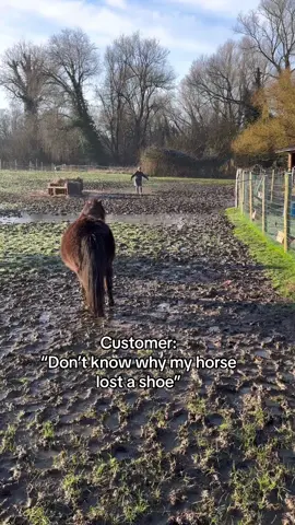 It’s a mystery 🤔 #samdracottfarrier #horse #farrier 