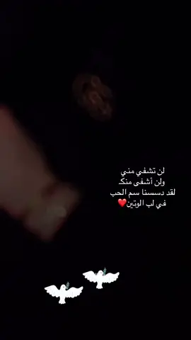 #‏احتضني رغم البعد وطول المسافات#اكسبلورexplore❥🕊🦋💚❤🕊️ #fyp 