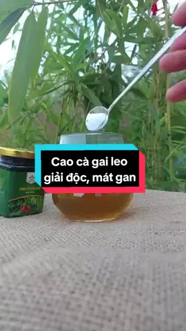 Cao cà gai leo Yên Thủy, giải độc, mát gan #giaidocgan #xuhuong #xuhuongtiktok #matgan #matganthaidoc 