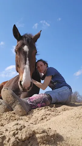 This moment right here is everything to me.  #horses #horsetok #horsesoftiktok #horsesontiktok #beautifulmoment #bestfeelingever 