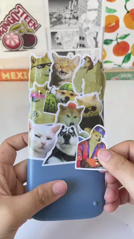 Sticker đa năng Funny Dogs vs Funny Cats bên mình nha#stickers #chóhàihước #hocsinh #nap580vnx 