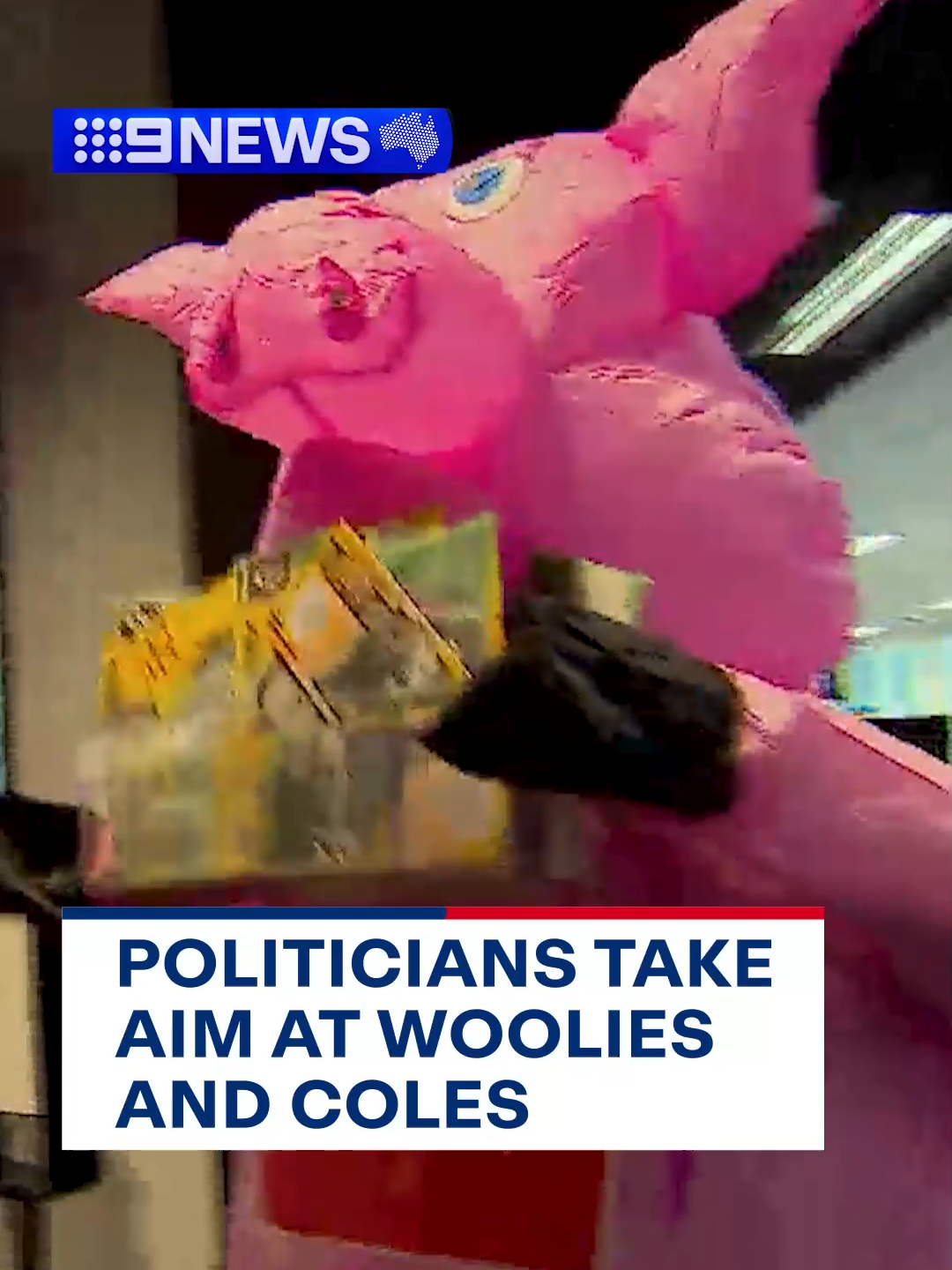 These little piggies went to Parliament House... 🐷 #politics #Woolworths #coles #costofliving #cozzylivs #publicfreakout #pig #pigsoftiktok #auspol #Australia #9News