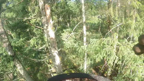 Fun rappell removal #friday #afterhours #treework #arborist #powerlinemaintenance #walkerssawshop #sthil