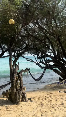 ฮีลใจที่สุด 🌊   หลังเจอแต่ปัญหา อยากอยู่ที่นี่สักเดือน🥰 #เกาะเสม็ด #อ่าวปะการังเกาะเสม็ด 