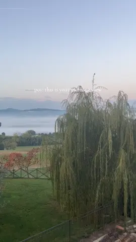 Waking up to the mist covering the rolling Umbrian countryside creates an unmatched calm 🤍 #whydoordinary #traveltok #luxurytravel #travel #italy #umbria 