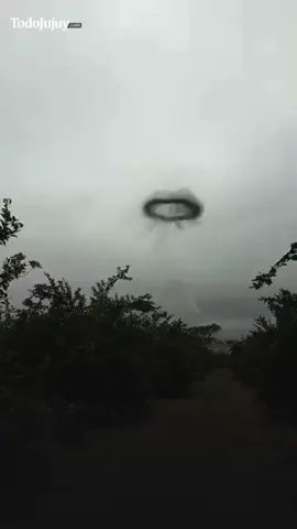 CÍRCULO NEGRO EN EL CIELO 😱 Un tremendo círculo negro apareció en el cielo de Tucumán y llamó la atención de la gente. En un principio se desconocía de qué se trataba, pero posteriormente aseguraron que serían mosquitos. #Tucumán #viral #Fyp