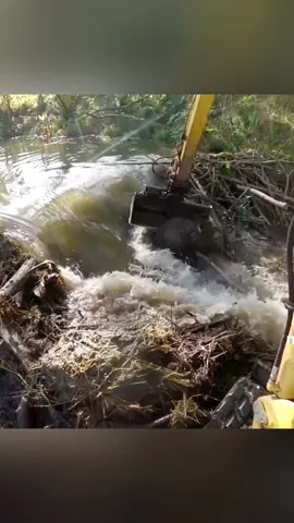 Beaver dams removal with excavator#bushcraft #bushcrafting #shelter #build #building #builder #bushman #buildingahouse #viralvideo #camp #camping #fy #outdoor #Outdoors 