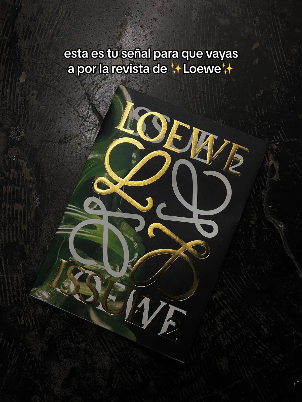 #loewe #revista #magazine #issue2 