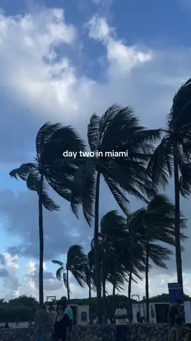 day two of our miami girls trip ✨ all i can think of is #komodo #miami #girlstrip @Cristal Ayala @Melina Blanchet 