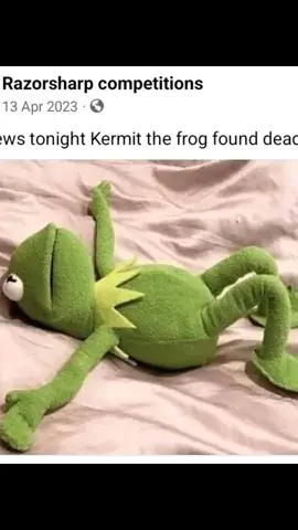 Kermit the frog #just for fun #foryoupage #sad #just for a laugh 