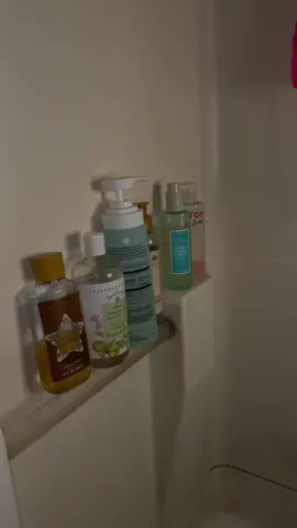Mint Cookie Shower Routine #fyppppppppppppppppppppppppppppppppppppp #fyp #nativegirlscoutscollection #nativetrefoils #treehutsugarcookie #naturalbarsoap 