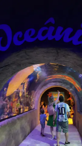 Explore o incrível túnel do Oceanic Aquarium! 🐠 Veja os animais marinhos passarem por cima de você enquanto você caminha. Uma experiência única para toda a família! 🐟✨ #oceanicaquarium #aquariobalneariocamboriu #vidanoaquario #atracaoturistica #diversaoemfamilia 
