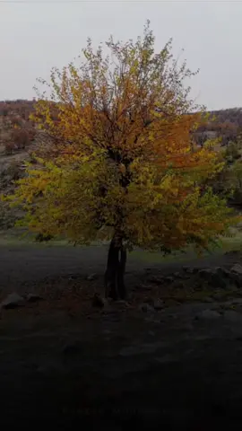 خوا لێمان خۆشبی یارەبی 🥺😭🤲