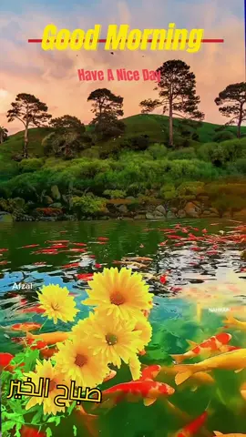 🩷A Friend gives you Hope when life is low...... 💙A Friend is a place When you find no Where to go. ...... 💚A Friend who brings happiness When you dnt want to smile ....... 💜In the world of Artifical people You are my Kohinoor Diamond   💛That I want to Treasure For lifetime!!! GOOD MORNING🌹#goodmorning #ശുഭദിനം #nahrain #പ്രണയം #feel #malayalamsongs #flute #malayalambgm 