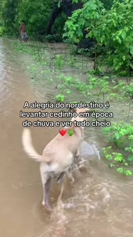 Melhor epoca do ano  . . . #nordeste  #chuva  #enchentes  #ceará 