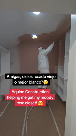 Aquino Construction toma tus ideas y las ase posible! En Dallas Ft Worth para servirles. General Contractors, trabajamos en casas y comercial. #moodycloset #closetremodel #closetpainting #painting #remodelacion #contratistageneral #generalcontractor #vintagerose  #fyp #viral 