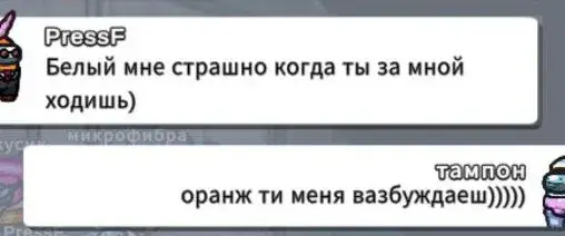 #хахахаххахах я буквально вечорі граю і просто бігаю за ораніом по фану і в мене виникла ідея якщо що це скрін мій я сама його зробила)))) бляха я так надіюся що вона/він це побачить привет цветочек)#gacha #AmongUs 