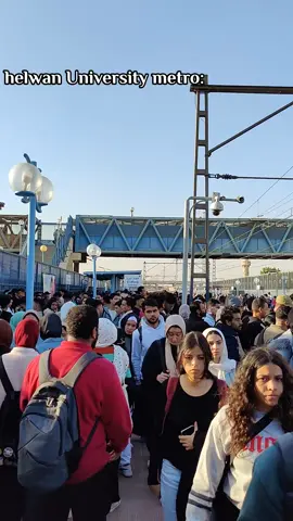 #جامعة_حلوان 