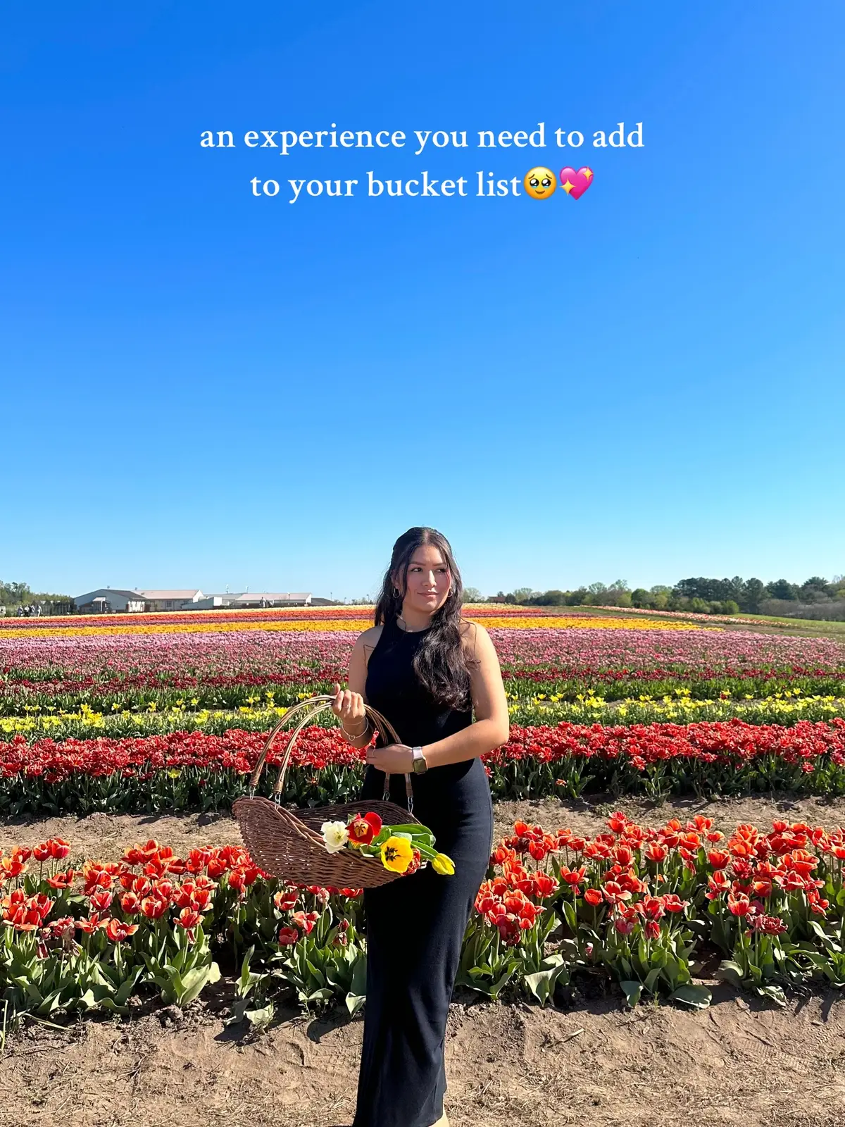 tag someone you would like to go to a tulip field with! #fyp #fypシ #foryou #foryoupage #parati #tulip #tulips #tulipan #tulipanes #tulipanes🌷 #tulipseason #tulipfield #tulipfields #tulipfestival #field #redtulips #pinktulips #whitetulips #yellowtulips #orangetulips #purpletulips #bluetulips #tulips #amsterdam #holanda #sky #girls #girly #girlythings #tulip #girlssupportinggirls #teamwork #favorite #flowers #tuliplover #flowerfarmer #farm #ramos #bucketlist 