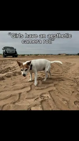 #CapCut 