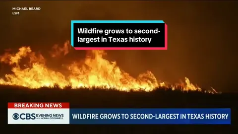 The Smokehouse Creek #wildfire, now the second-largest in #Texas history, has destroyed dozens of homes and businesses. Gov. Greg Abbott has declared a disaster due to the extensive fires along the #TexasPanhandle, fueled by strong winds and dry conditions. #news #wildfires #environment 