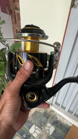 Shimano Stella 8000HG (2019 )
