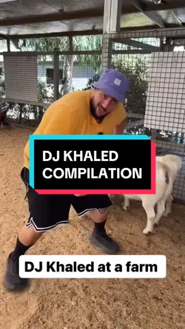 @djkhaled compilation 😂😂😂 #djkhaled #miami #australia 