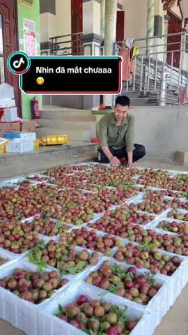 Mọi người đã lựa chọn được chỗ mua mận trái mùa chưa …? #nongsantaybac #manhau #manhausonla 