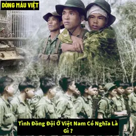 Tình Đồng Đội Ở Việt Nam Có Nghĩa Là Gì ?   #dongmauviet #dcgr 
