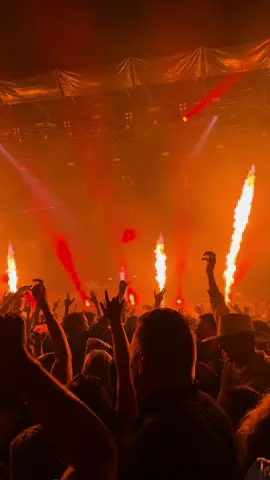 «Sexy Chick» - David Guetta, Findings 2023 #fyp #findings #findingsfestival #festival #bislett #davidguetta #live 