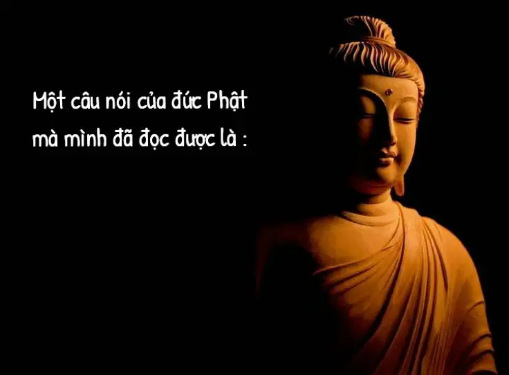 Hãy tự mình là ngọn đèn cho chính mình, hãy tự mình nương tựa nơi chính mình, chớ nương tựa một điều gì khác...🙏🌿 #phatphapnhiemmau #phatphapvobien #loiphatday #trichdanhay #LearnOnTikTok #xuhuong 