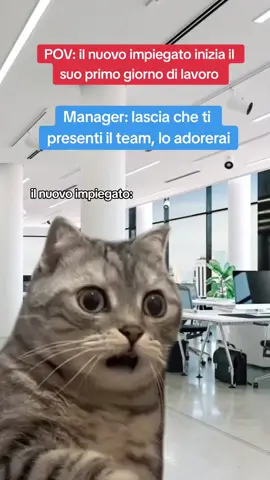 e tu quale tipo di collega sei? 1,2,3 o 4? 😂 #memestiktok #funnymemes #workmemes #workhumor #officememes #worklife #viralvideo #coworkers #neipertee #CapCut 