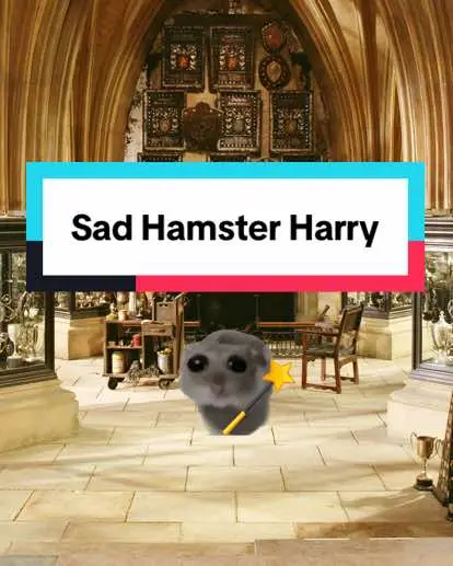 pls ask him calmly, professor 🥹 #harrypotter #dumbledore #sadhamster  