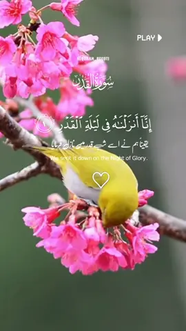 #SURAH  AL QADAR  VERSES-01-05#alquran_recit1🍂 #786 #pvp #PLP #CapCut #liveforthechallenge #Allah #سبحان #quran 