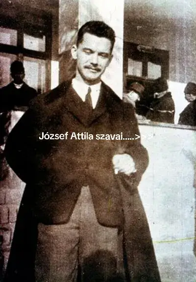 Best mondata🥹🤌🏻#józsefattila 
