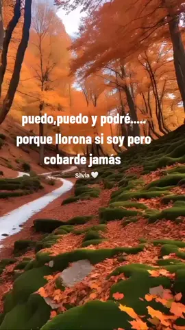 #mas fuerte que nunca# #pyfツ ✨🤍☘️